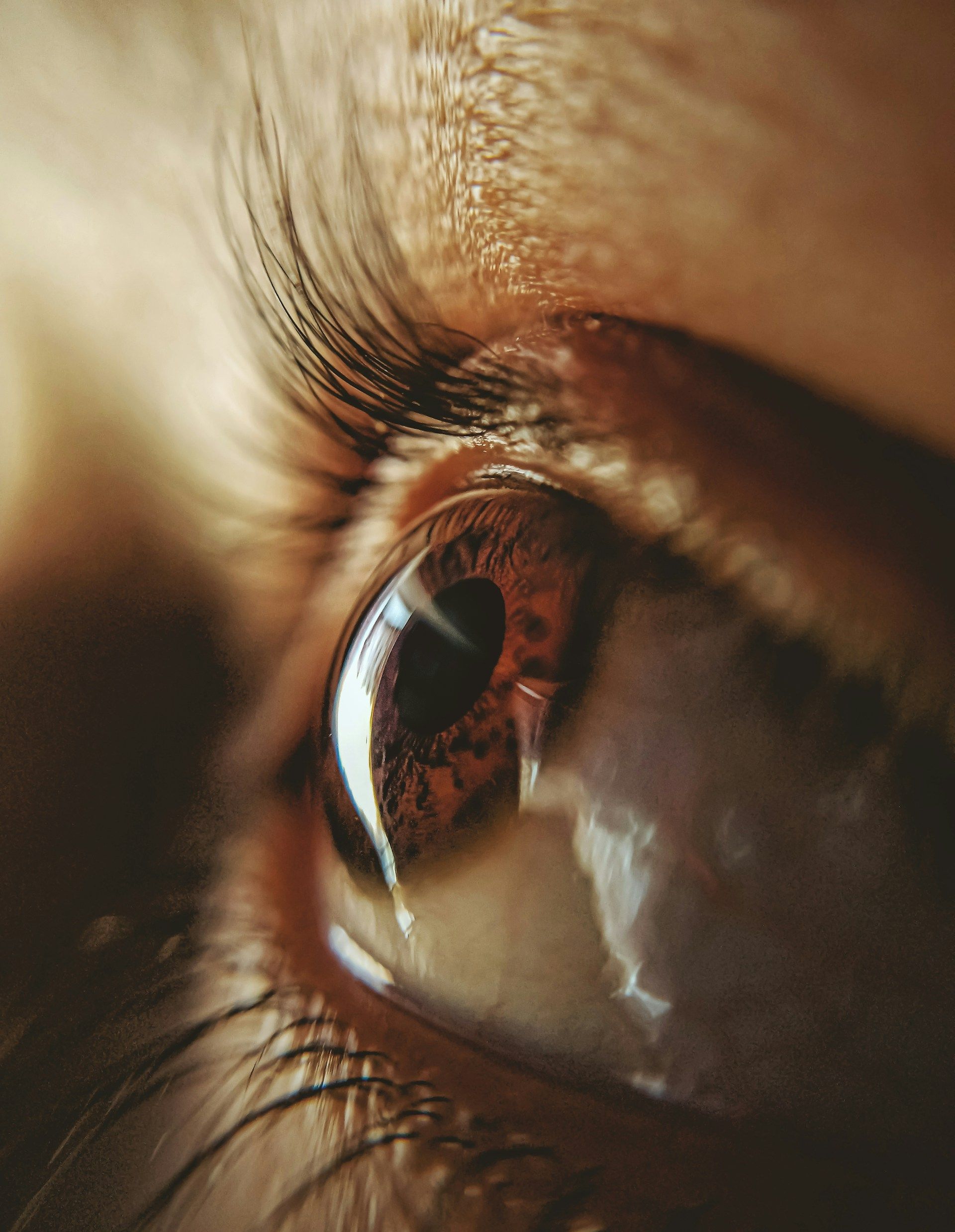 Close-up of an eye, where diabetic changes are often found first