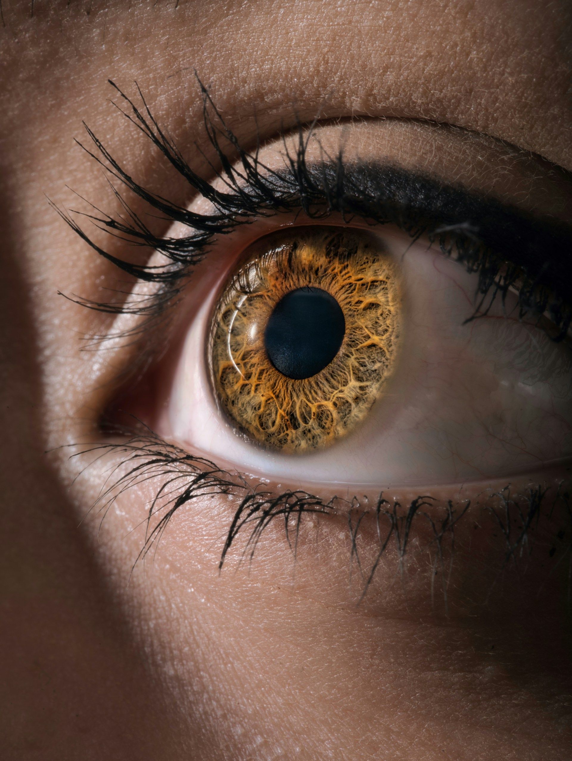 Close-up of a human eye